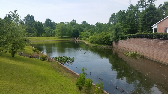 FFCOLife: On a morning walk towards Sunridge pond! FFCOA